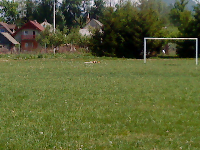 DSC01888.JPG