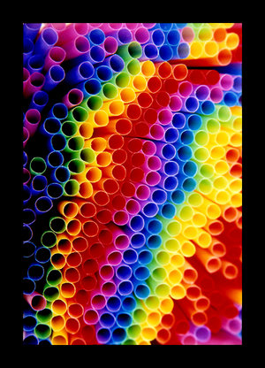 8317100.jpg