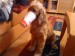DSC00264.JPG
