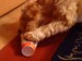 DSC00269.JPG