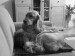 DSC00953.JPG
