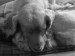 DSC00954.JPG