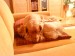DSC00956.JPG