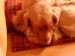 DSC00957.JPG