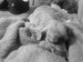 DSC00984.JPG