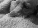 DSC00985.JPG