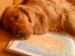 DSC01136.JPG