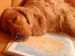 DSC01137.JPG